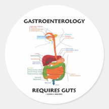 Gastroenterology Requires Guts (Digestive System) Stickers