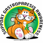 Gastroparesis Cat photo sculptures