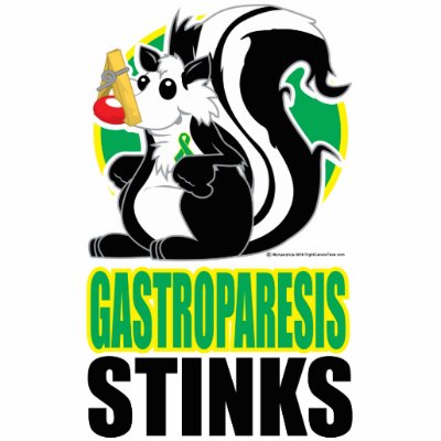 Gastroparesis Stinks Acrylic Cut Outs by fightcancertees