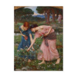 Gathering Rosebuds Post Card