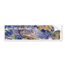 Gator Aligators Swamps Bumper Stickers