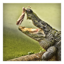 Gator Catching Lunch Invitation