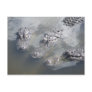 GATOR GREETINGS POST CARDS