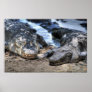 Gatorland - Orlando, FL Posters