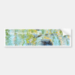 Gators Aligators Swamps Bumper Stickers