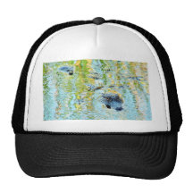 Gators Aligators Swamps Trucker Hat