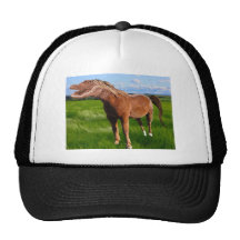 Gatorse Mesh Hats