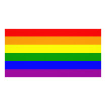 Gay Pride Flag / Rainbow Flag