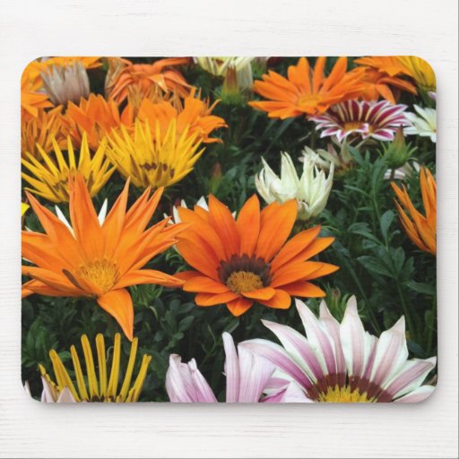Gazania Flower Mouse Pad
