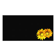 GAZANIA PHOTO CARD