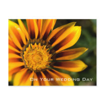 Gazania | Wedding Congratulation Post Card