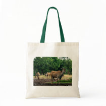 Gazelle,瞪羚 Bags