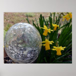 Gazing Ball and Daffodils Print
