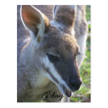 G'day Post Card