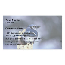 Geai bleu cartes de visite professionnelles