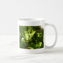 Gecko coffee mug