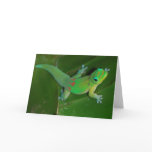 Gecko Cruising at Night Card