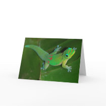 Gecko Cruising at Night Card