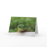 Gecko in the Tropics notecard