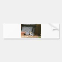 Gecko Kaffeetasse. "Worms for Breakfast" Autosticker