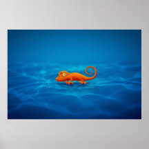 Gecko Posters