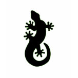 GECKO t-shirts
