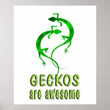 Geckos are Awesome Posters