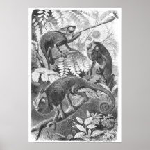 Geckos! Print