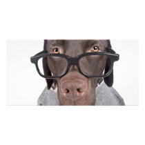 Geeky Dawg