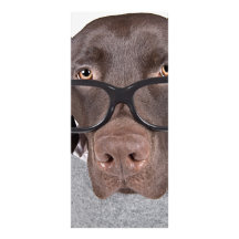 Geeky Dawg Rack Card