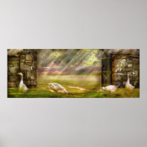 Geese - Birds of a Feather  Panorama Posters