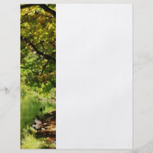 Geese by Pond In Autumn Custom Flyer