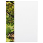 Geese by Pond In Autumn Custom Letterhead