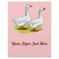 Geese:  Embden Pair Custom Flyer