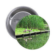 Geese in Springtime Pin