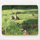 Geese Mousepad