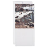 Geese on an Icy Pond Rack Card