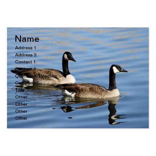 Geese on water business cards