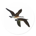 geese round sticker