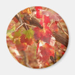 Geffen leaves fridge magnets
