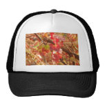 Geffen leaves hats