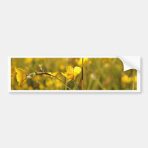 Gelbe Sommerwiese Autosticker