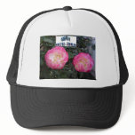 GEMINI 2 MESH HATS