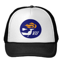 Gemini 7 hat