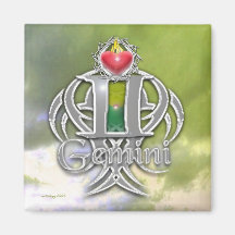 gemini magnets