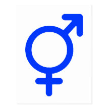 Gender Neutral Blue The MUSEUM Zazzle Gifts Post Cards