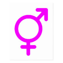 Gender Neutral Magenta The MUSEUM Zazzle Gifts Postcards