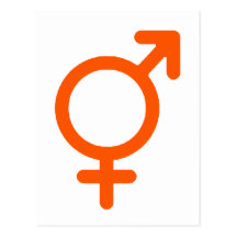 Gender Neutral Orange The MUSEUM Zazzle Gifts Post Card