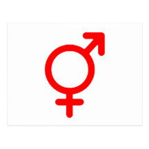Gender Neutral Red The MUSEUM Zazzle Gifts Postcards