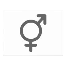 Gender Neutral Silver The MUSEUM Zazzle Gifts Post Cards